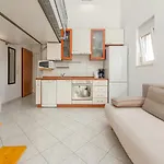 דירה Petkovic