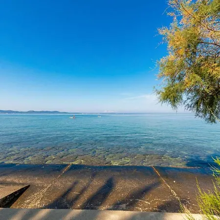 Petkovic Appartamento