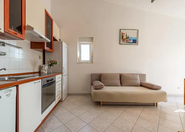 Apartment Petkovic *