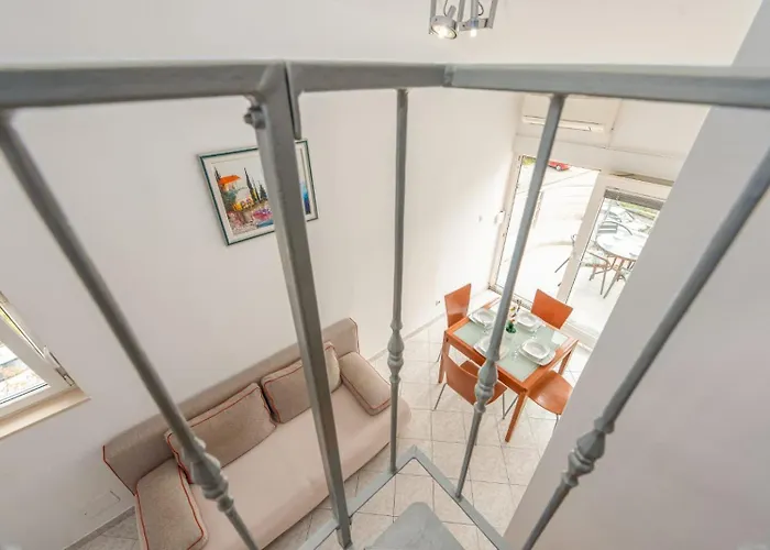 Petkovic Ζαντάρ