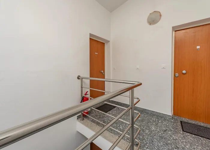 Petkovic * Ζαντάρ